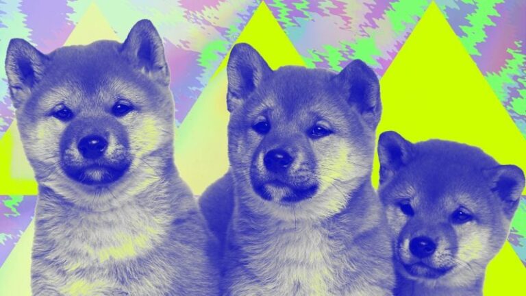 20210511 DOGE SHIBA SHIB coin 1 800x450 uU03fu